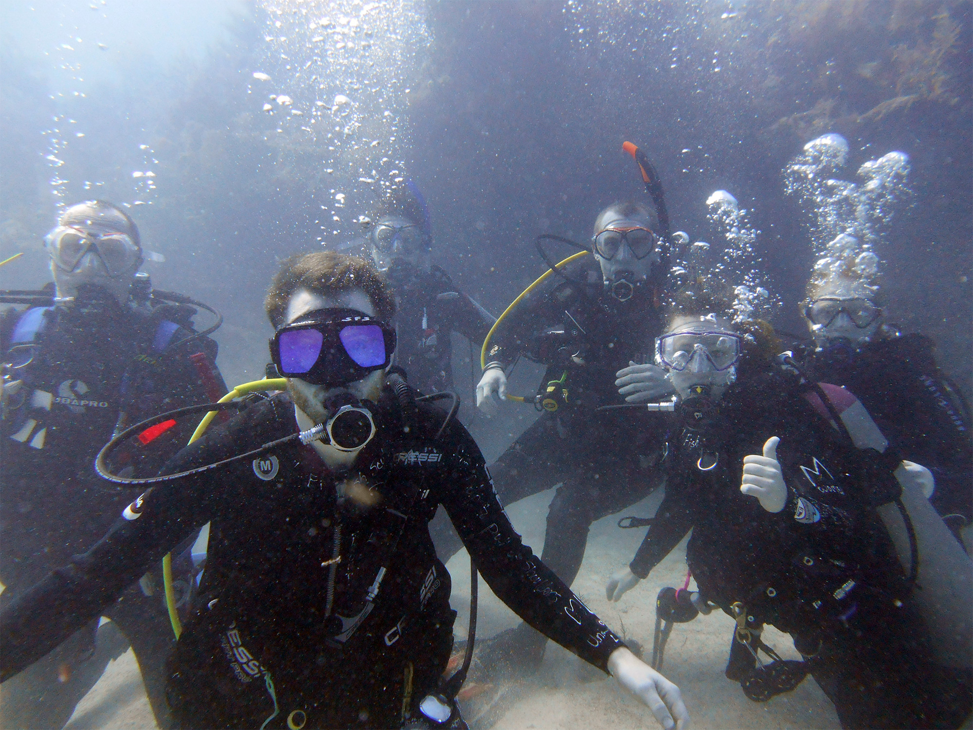Group Dive at French Reef in Key Largo, Florida