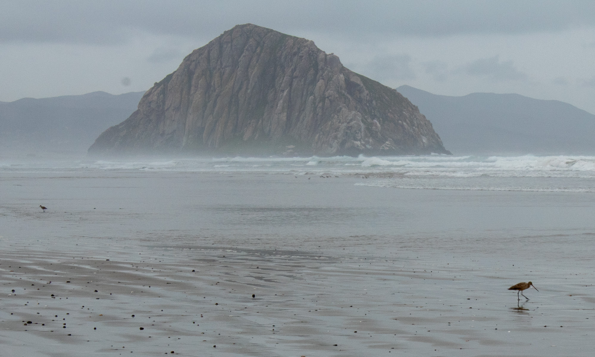 Morro Rock in the distance on a gold, wet, cloudy day at Morro Bay Beach in California